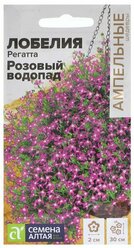 Семена цветов Лобелия Регатта "Розовый Водопад" ампельная, О, цп, 8 шт, ( 1 упаковка )