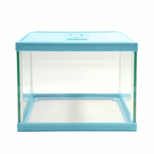 Террариум стеклянный с верхней крышкой MCLANZOO , голубой, 20х20хН15см