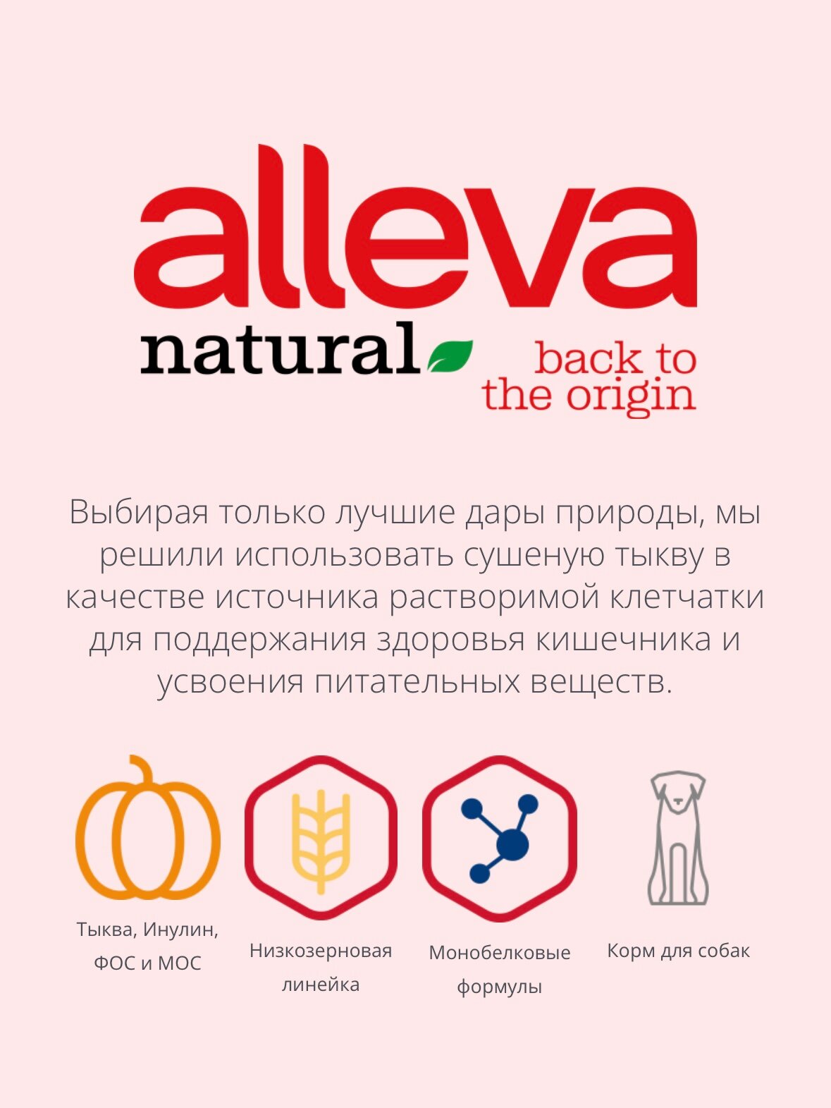 Корм сухой для взрослых собак средних и крупных пород с рыбой и тыквой Natural Alleva/Аллева 12кг Diusapet srl - фото №15