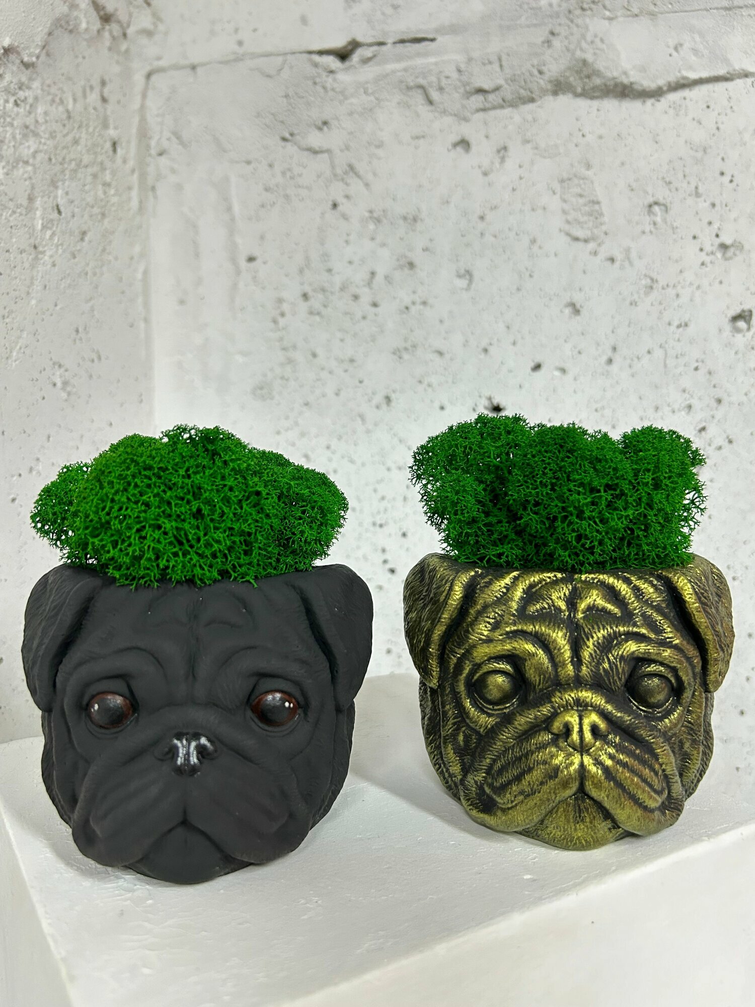 фото Кашпо/Органайзер Мопс