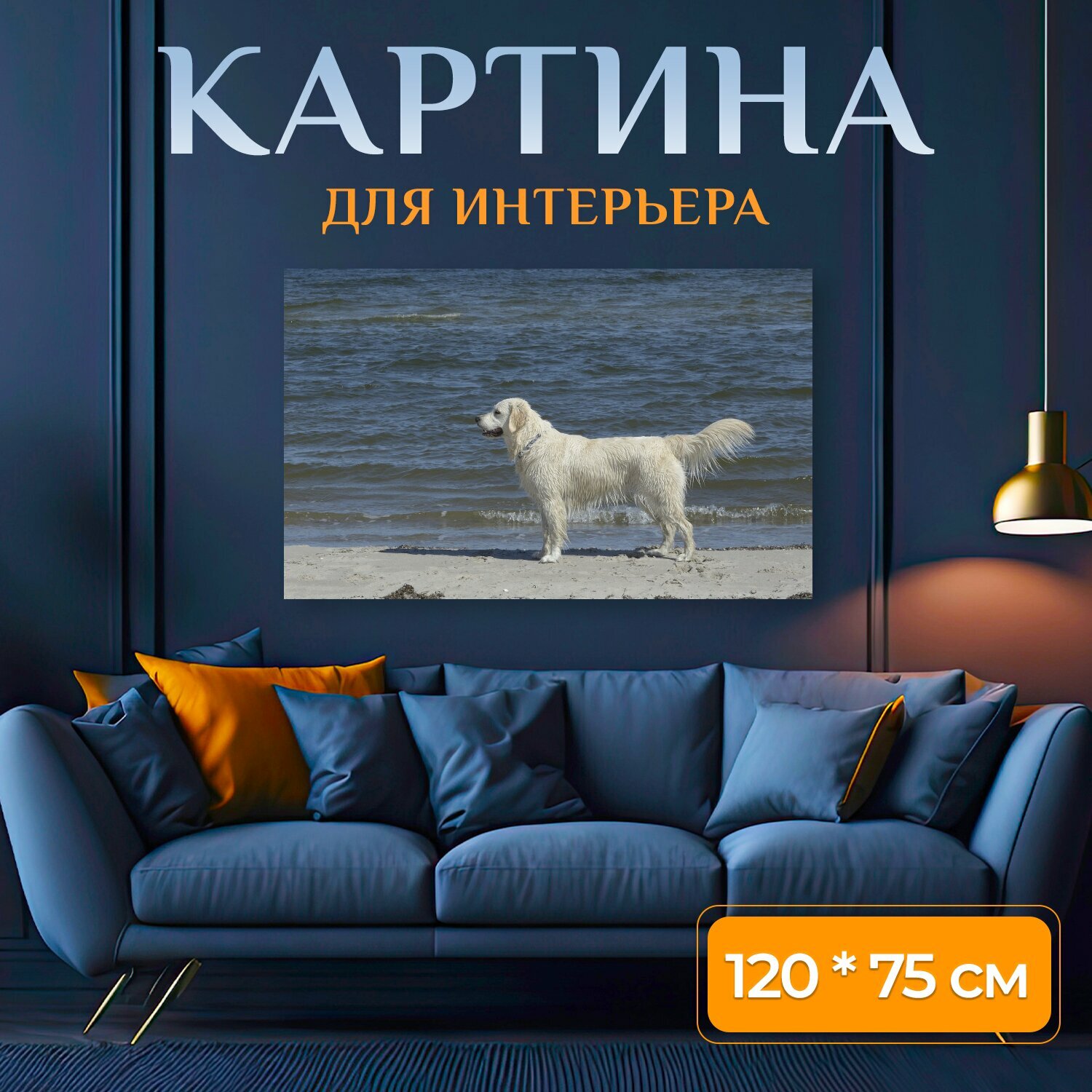 Картина на холсте "Золотистый ретривер, собаки, грация золотой пустоши" на подрамнике 120х75 см. для интерьера