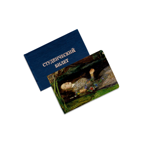 Обложка для студенческого билета ZEKEKS коричневый зеленый 270₽