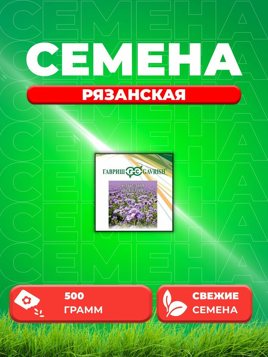 Фацелия Рязанская 05кг Гавриш Зеленое удобрение