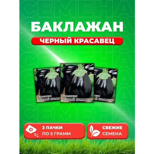 Баклажан Черный красавец 5,0 г (3уп)