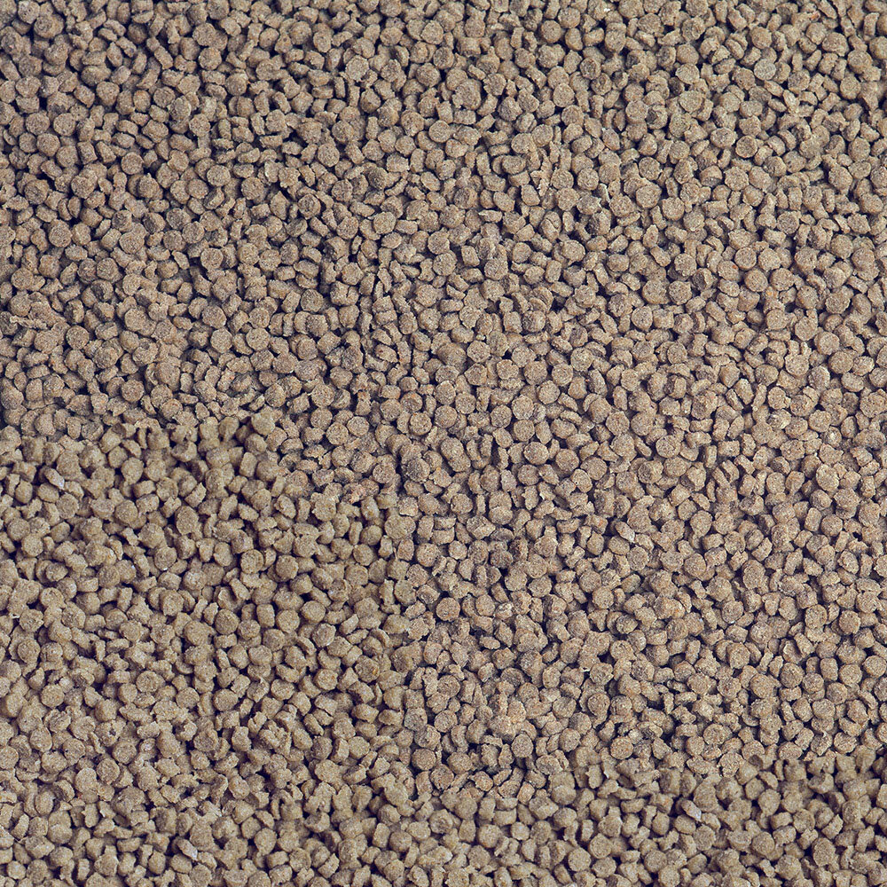 SERA, Корм для плотоядных цихлид, основной в гранулах "Granured", 1000 мл, 565 г, S0406