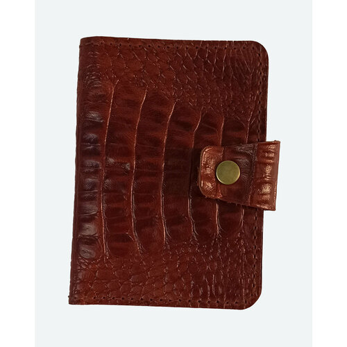 Обложка для автодокументов Cesare C, коньячный