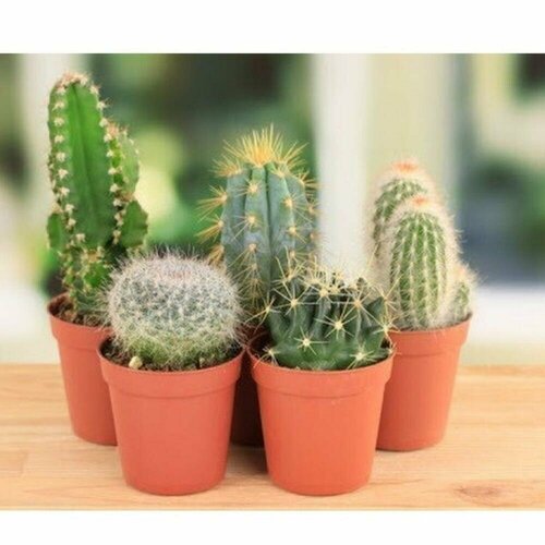 Композиция 