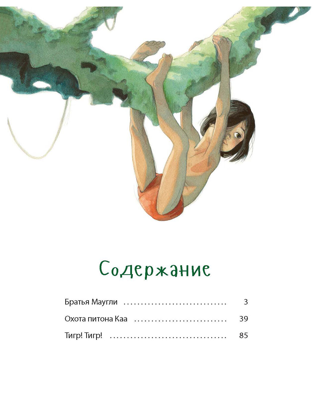 Книга Книга джунглей. История Маугли — фото 1