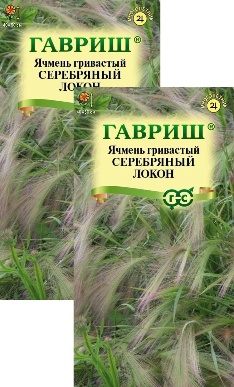 Семена Ячмень гривастый Серебряный локон (01 г) 2 пакета Гавриш