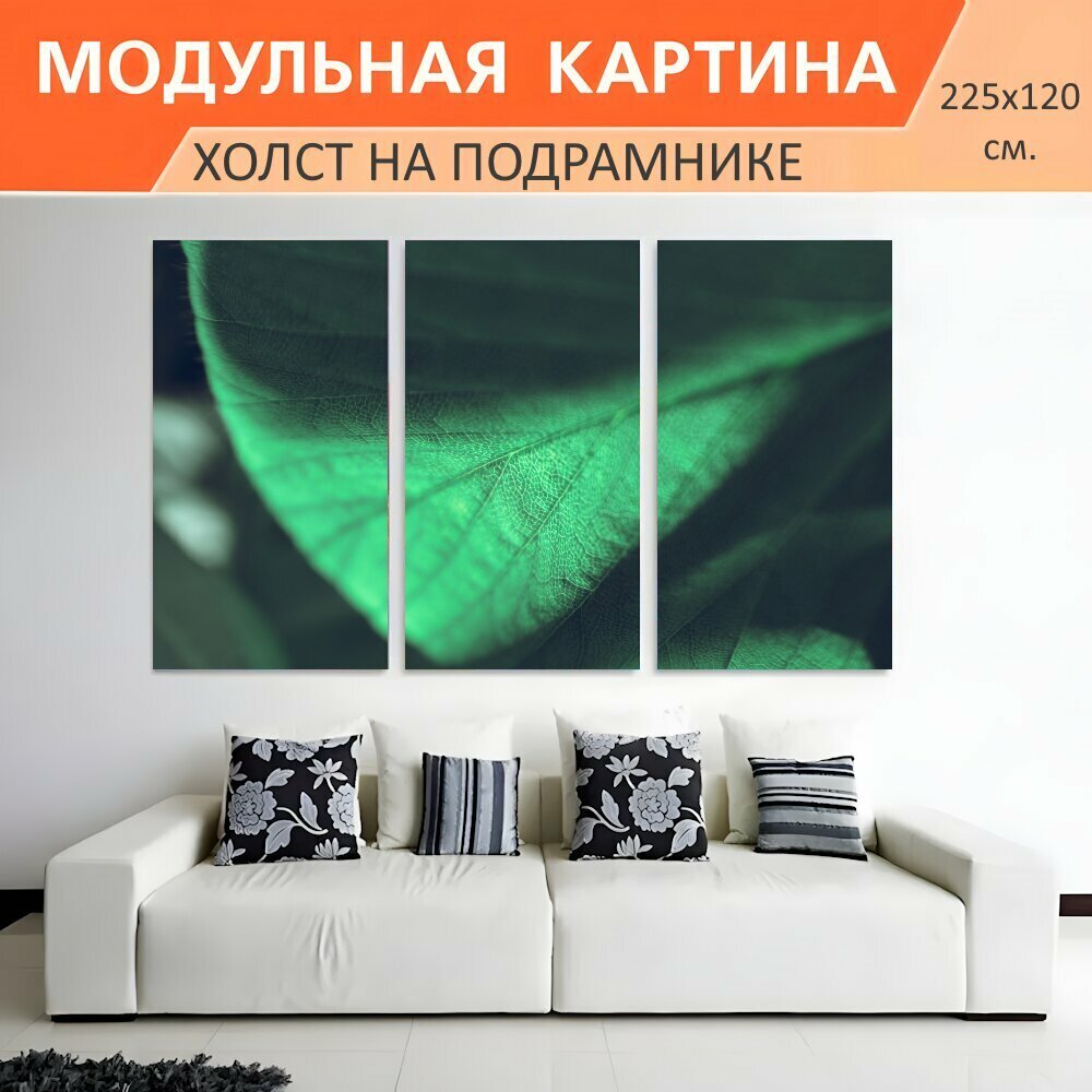 Модульная картина на холсте "Лист, текстура, зеленый" триптих на подрамнике 225х120 см. для интерьера