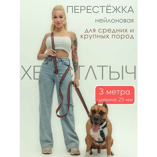 Перестежка для собак PRO прошитая нейлон 3 м х 25 мм (зелено-красный)