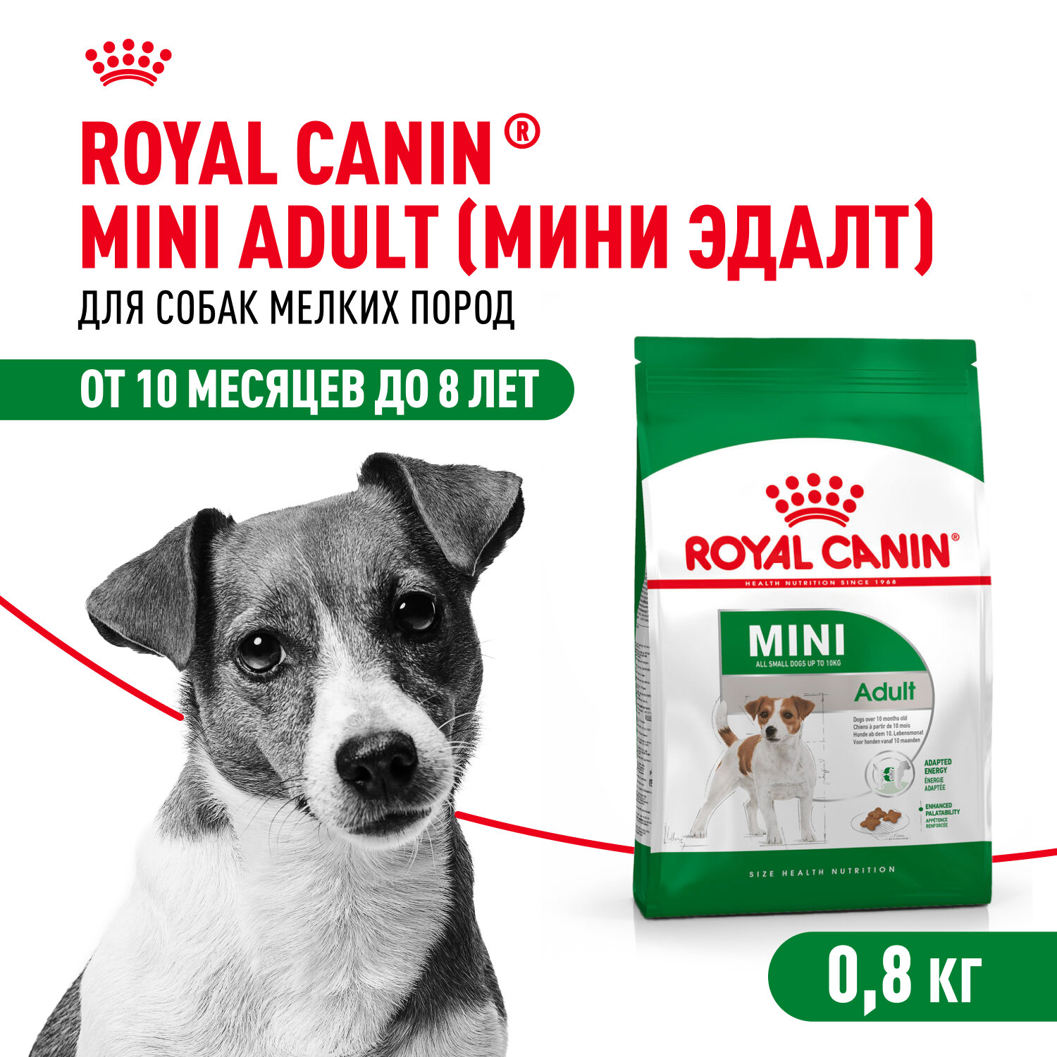 Сухой корм для собак Royal Canin Mini Adult для собак мелких пород, 0,8 кг