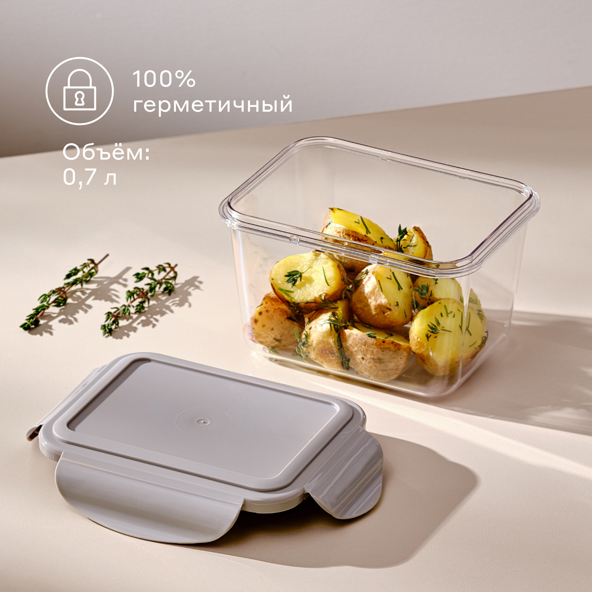 Пластиковый контейнер для хранения продуктов Pragma Luvold, 0,7 л