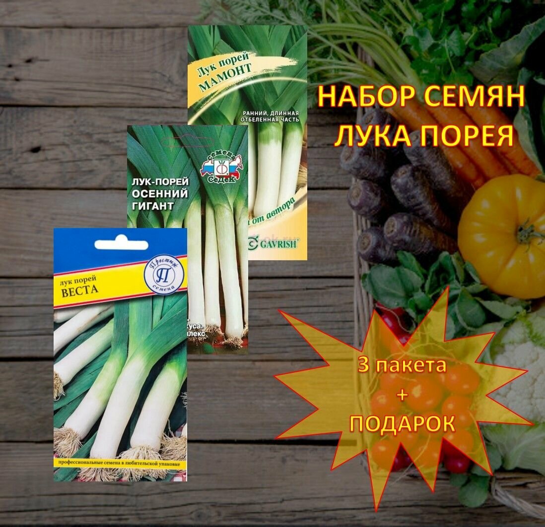 Семена лука порей Мамонт Осенний гигант Веста