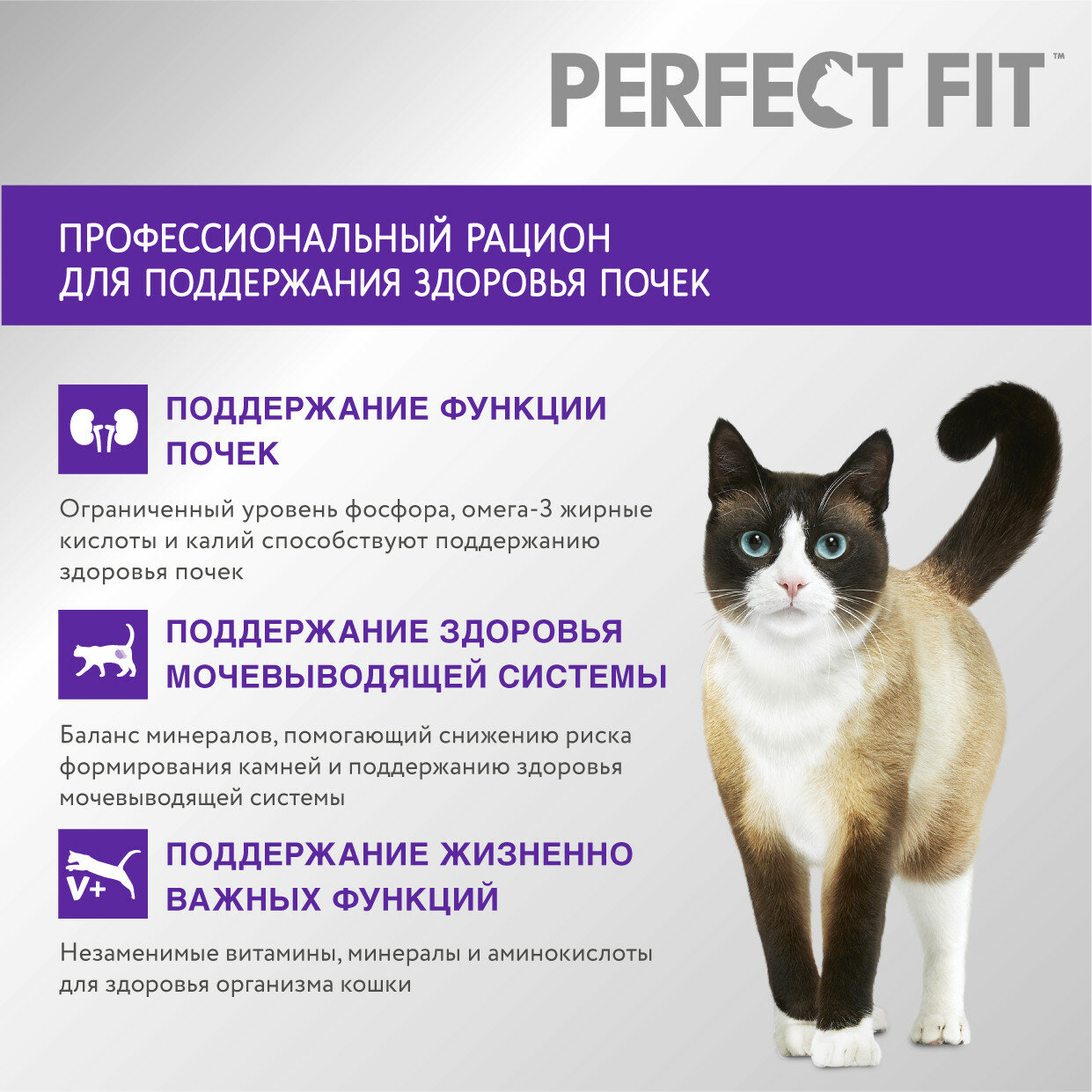 Сухой корм PERFECT FIT™ «Здоровье почек» для взрослых кошек с лососем, 2.5кг