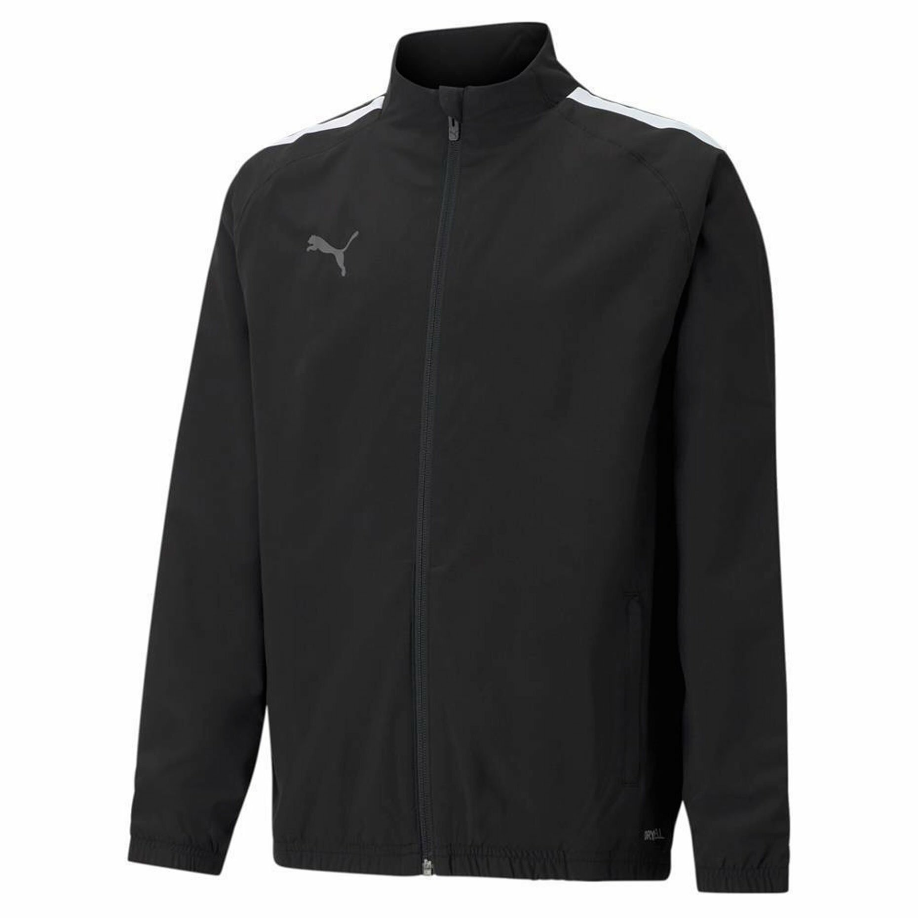 Олимпийка PUMA teamLIGA