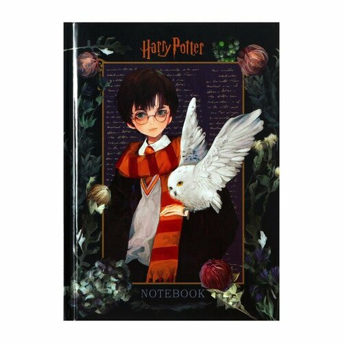 Записная книжка А6 48 листов в клетку Гарри Поттер глянцевая ламинация блок офсет 60гм2 335₽