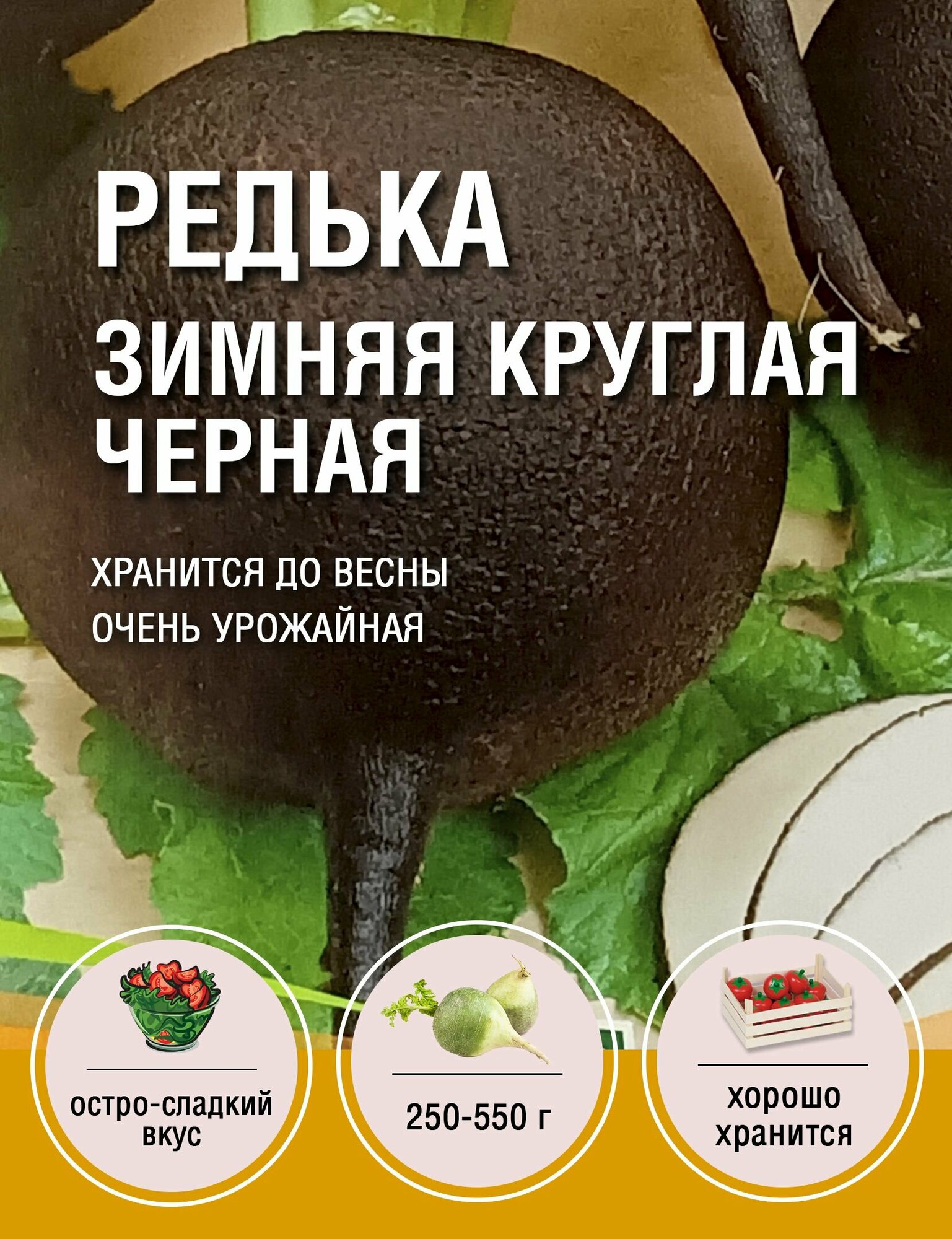 Семена Редька Зимняя круглая черная 