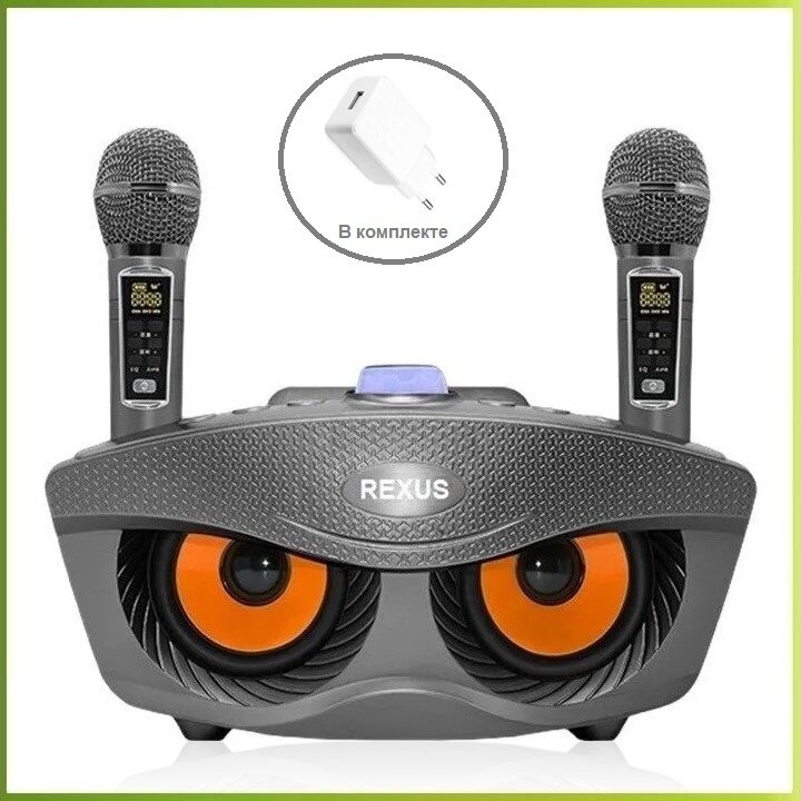 REXUS SD-306 Plus (Gray) - домашняя караоке система, изменение голоса, Bluetooth