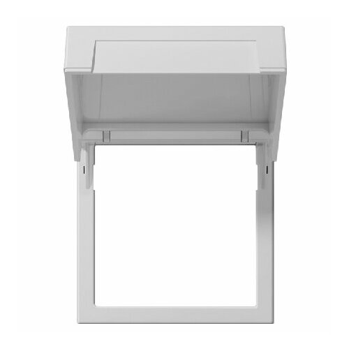 Центральная крышка 2658015