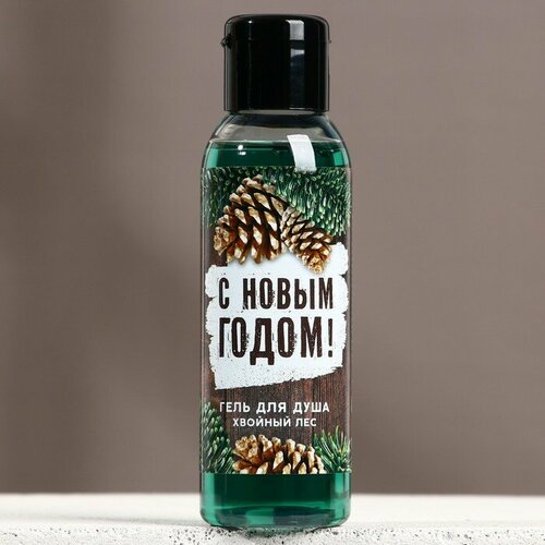 Гель для душа С Новым Годом 100 мл аромат хвойный лес чистое счастье 345₽