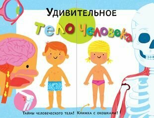 Тело человека