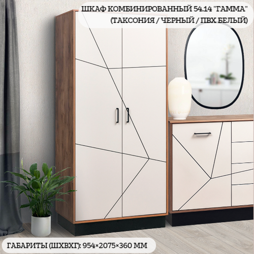 Шкаф 2-створчатый комбинированный Гамма в цвете таксониячерныйПВХ белый материал ЛДСПМДФ 25412₽