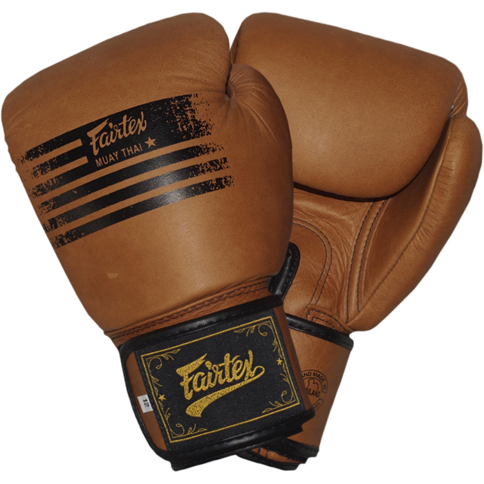 Боксерские перчатки Fairtex BGV21 Legacy. 14oz