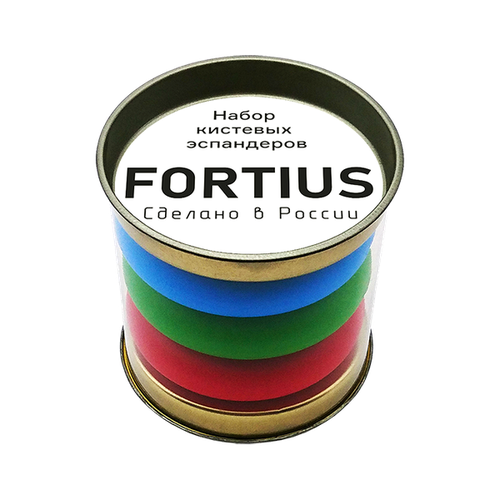 Набор кистевых эспандеров FORTIUS, 3шт в тубусе (10,20,30 кг)