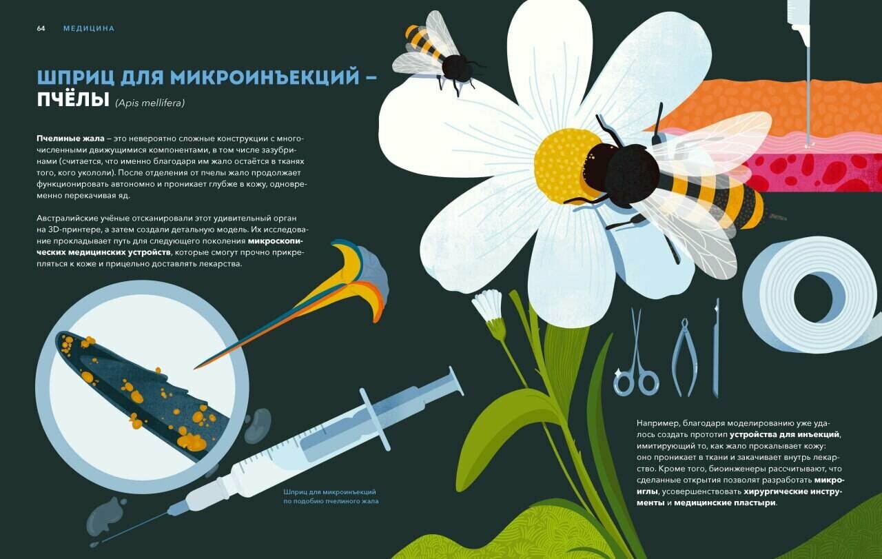 Дикие изобретения. 40 технологий, подаренных нам природой - фото №6