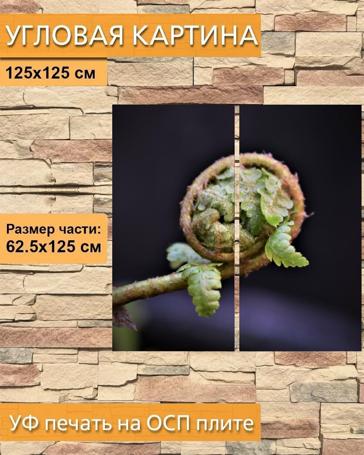 Модульная картина на ОСП "Папоротник, листья папоротника, лист" 125x125 см. 2 части для интерьера на стену