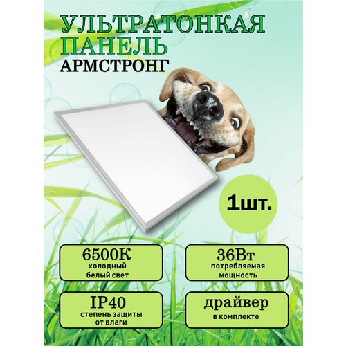 Светильник потолочный Ультратонкая 9мм светодиодная панель Армстронг 6500К LED 36Вт 1 шт 2250₽