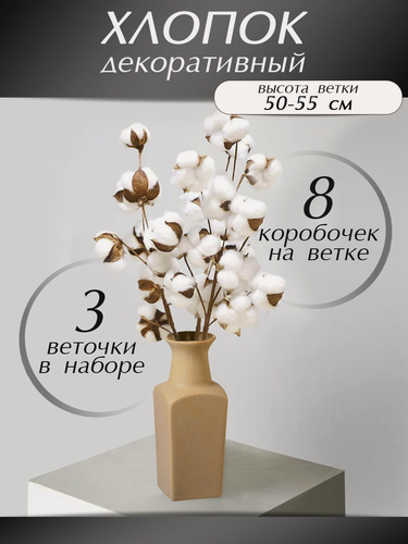 Изображение товара Сухоцветы Хлопок для декора, 3 ветки, 8 бутонов
