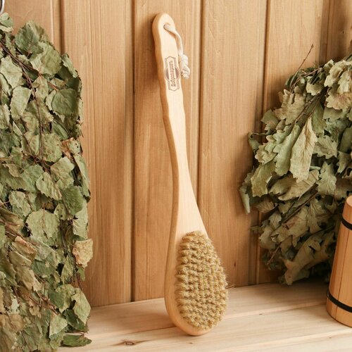 Щетка массажная с длинной ручкой натуральная щетина 385 х 8 х 45 см 939₽