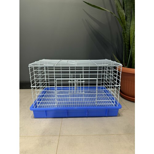 Клетка для грызунов 555х37х35 см фальшдно ручка замок на пружине голубой 2845₽