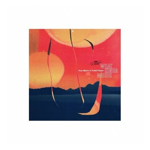 0842812123108, Виниловая пластинка Misch, Tom; Dayes, Yussef, What Kinda Music