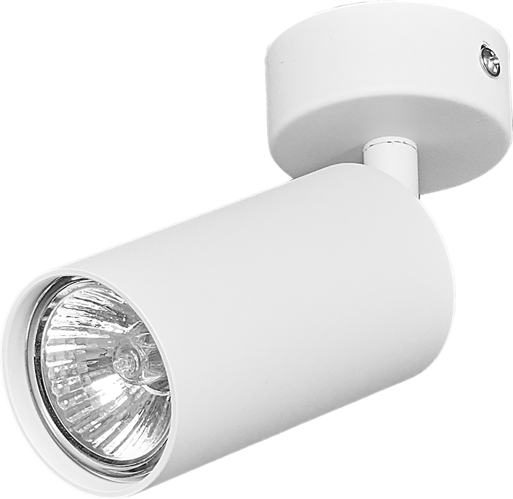 Спот поворотный Arius 3 м² GU10 цвет белый