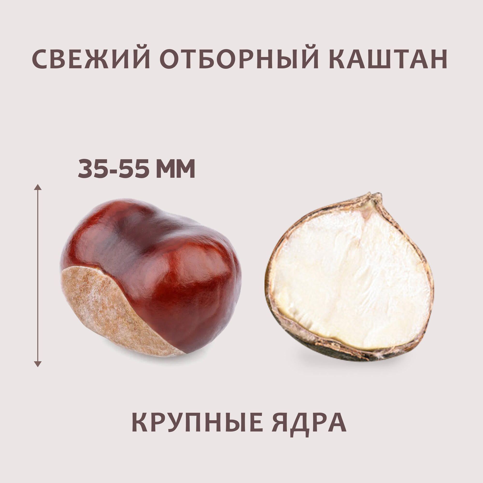 Каштан съедобный в скорлупе, "Грузия", 3 кг, урожай 2025 года — фото 1