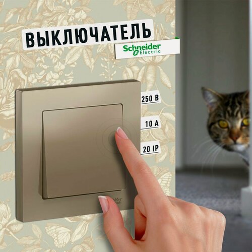 Изображение товара Выключатель Schneider Electric Systeme Electric AtlasDesign VYKL, одноклавишный, с рамкой, шампань