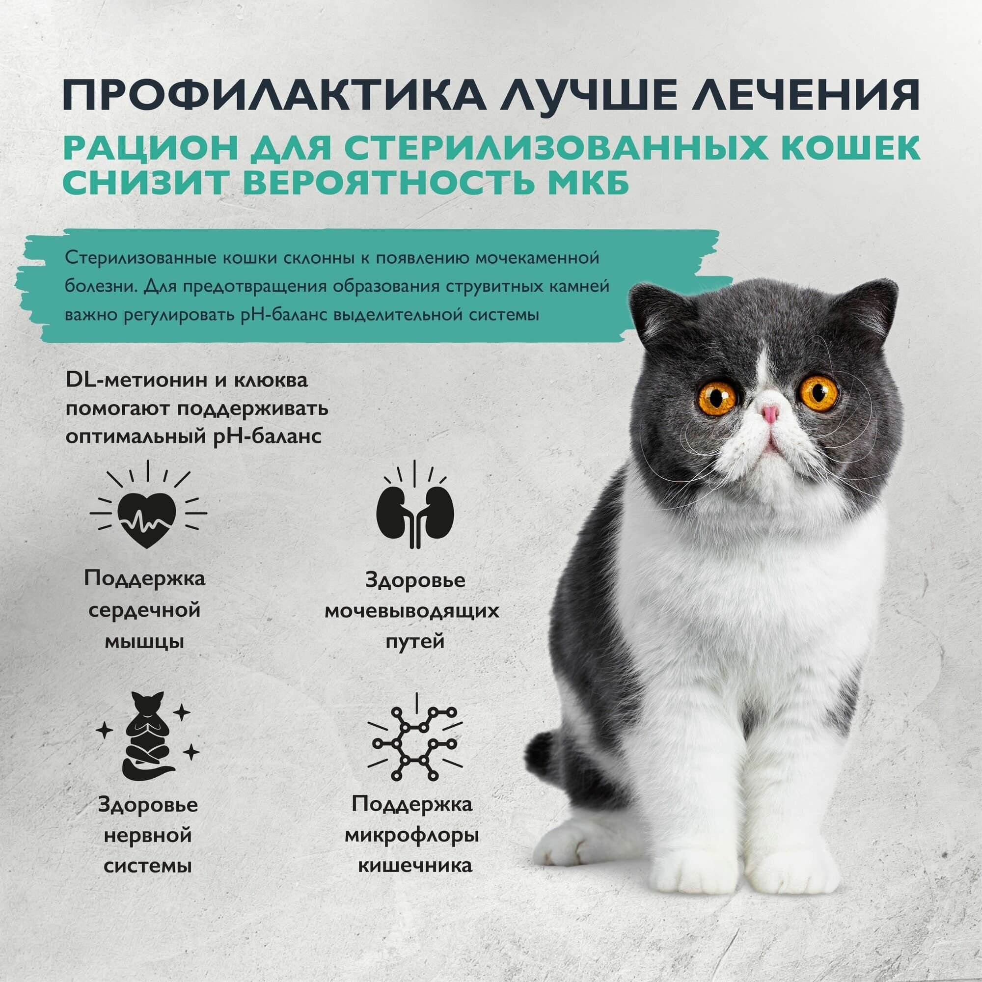 Brit Care сухой корм с индейкой и уткой для стерилизованных кошек, профилактика МКБ, 7 кг. — фото 1
