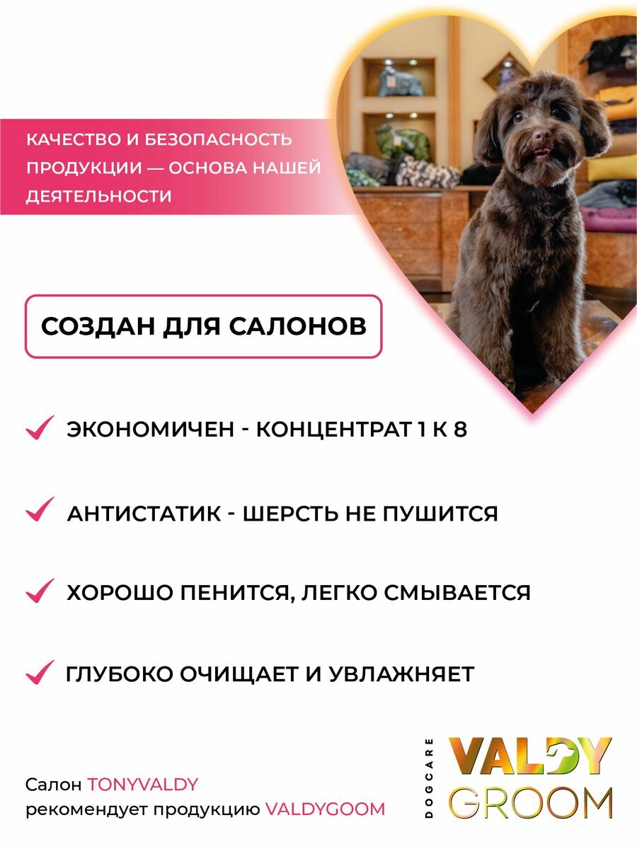 Гипоаллергенный шампунь для собак от грязи и запаха VALDY GROOM 1000мл — фото 1