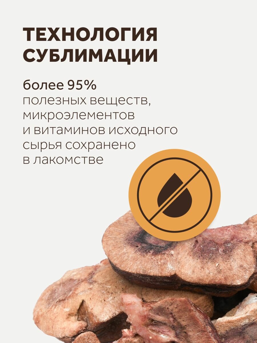 Petsmack Лакомство для собак, почки говяжьи, 60г — фото 1