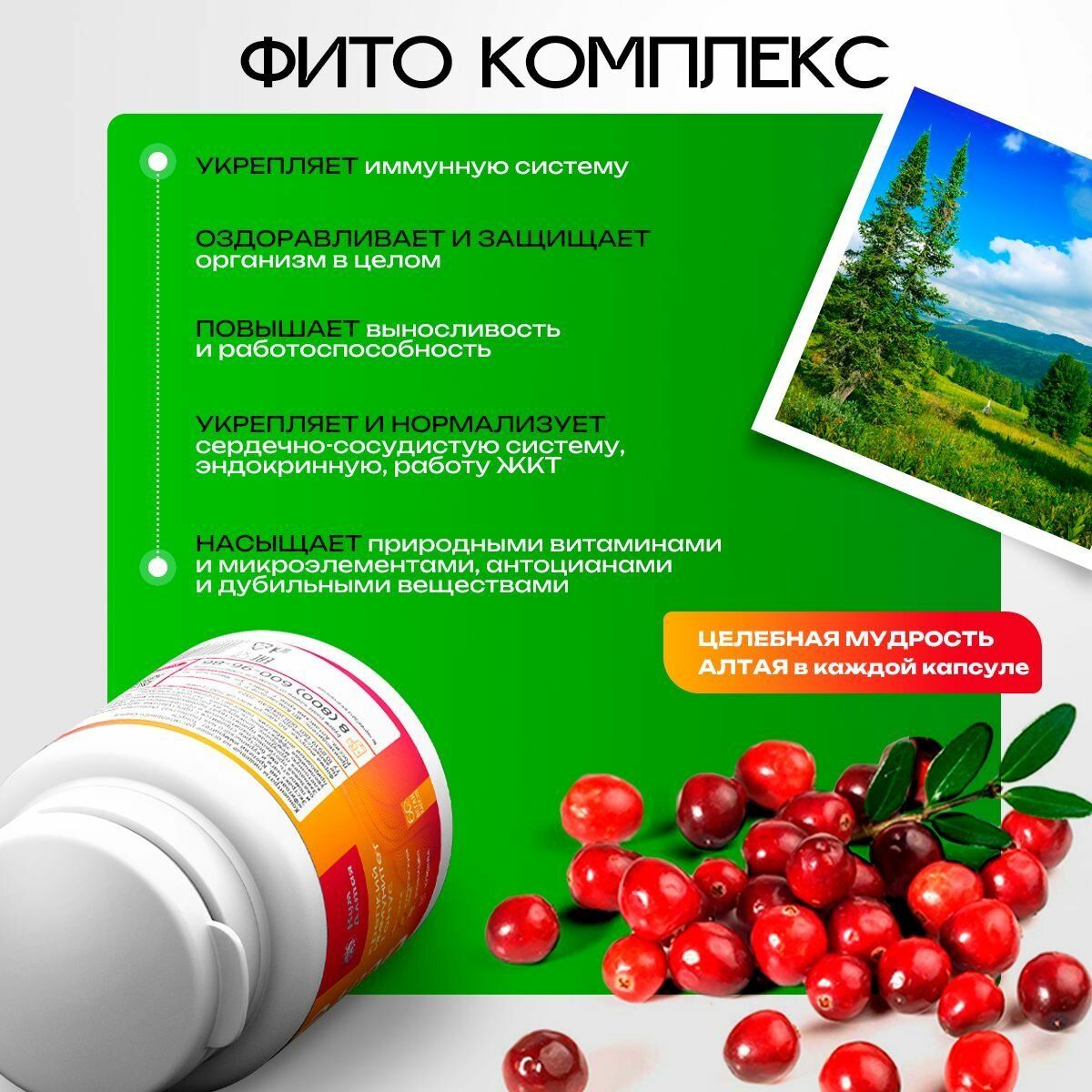Картинки Комплекс КумАлтая "ФИТО-Active", для иммунитета и тонуса организма, 60 капсул
