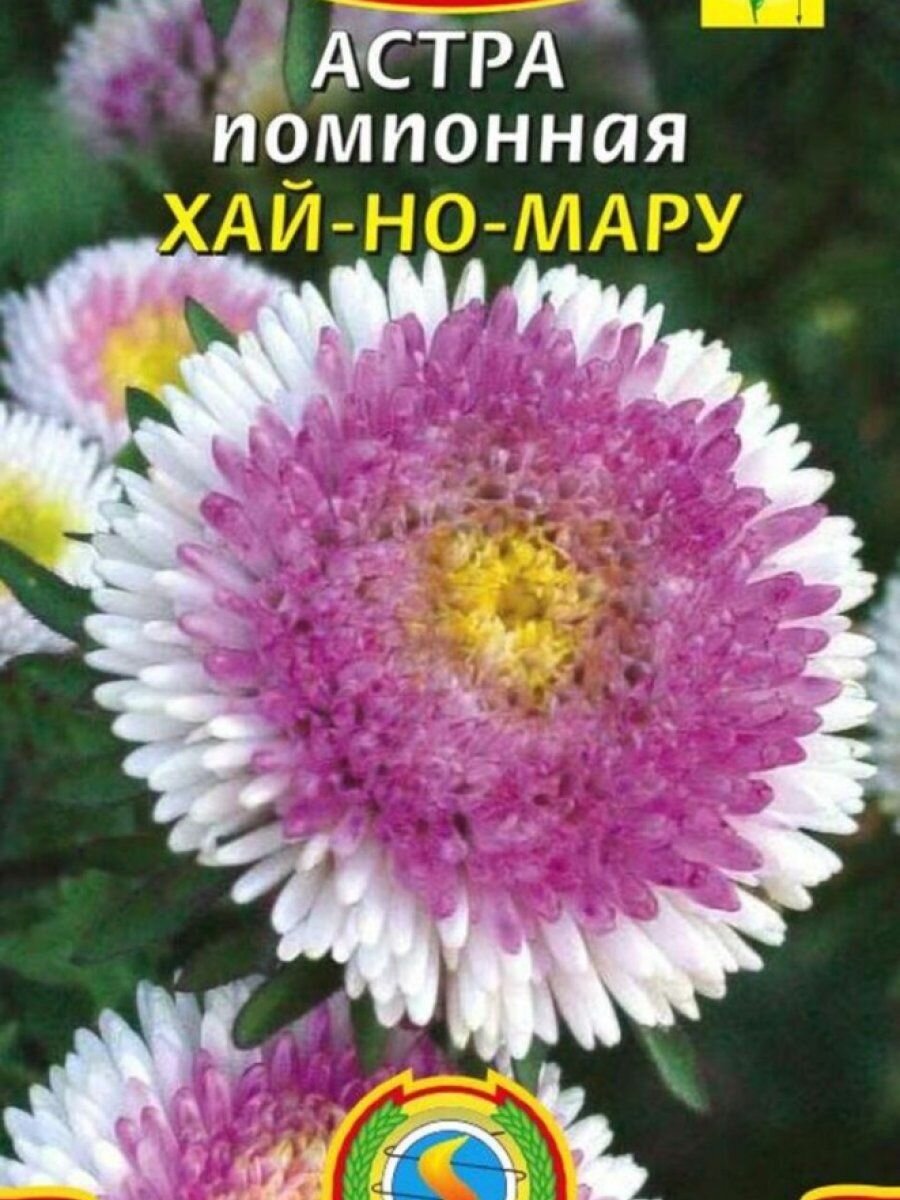 Семена Астра помпонная Хай-Но-Мару 01 гр Плазменные семена