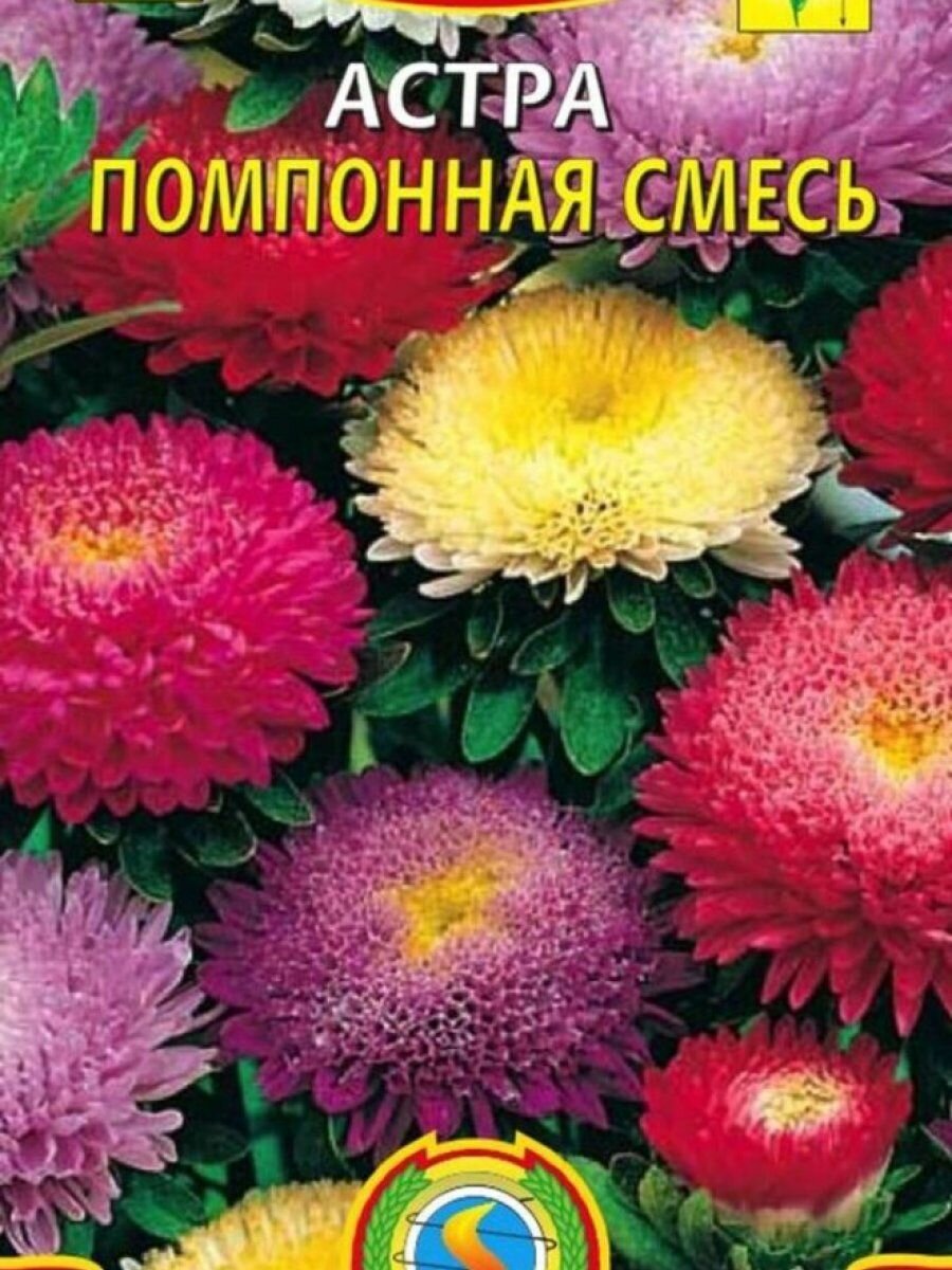 Семена Астра Помпонная смесь 03 гр Плазменные семена