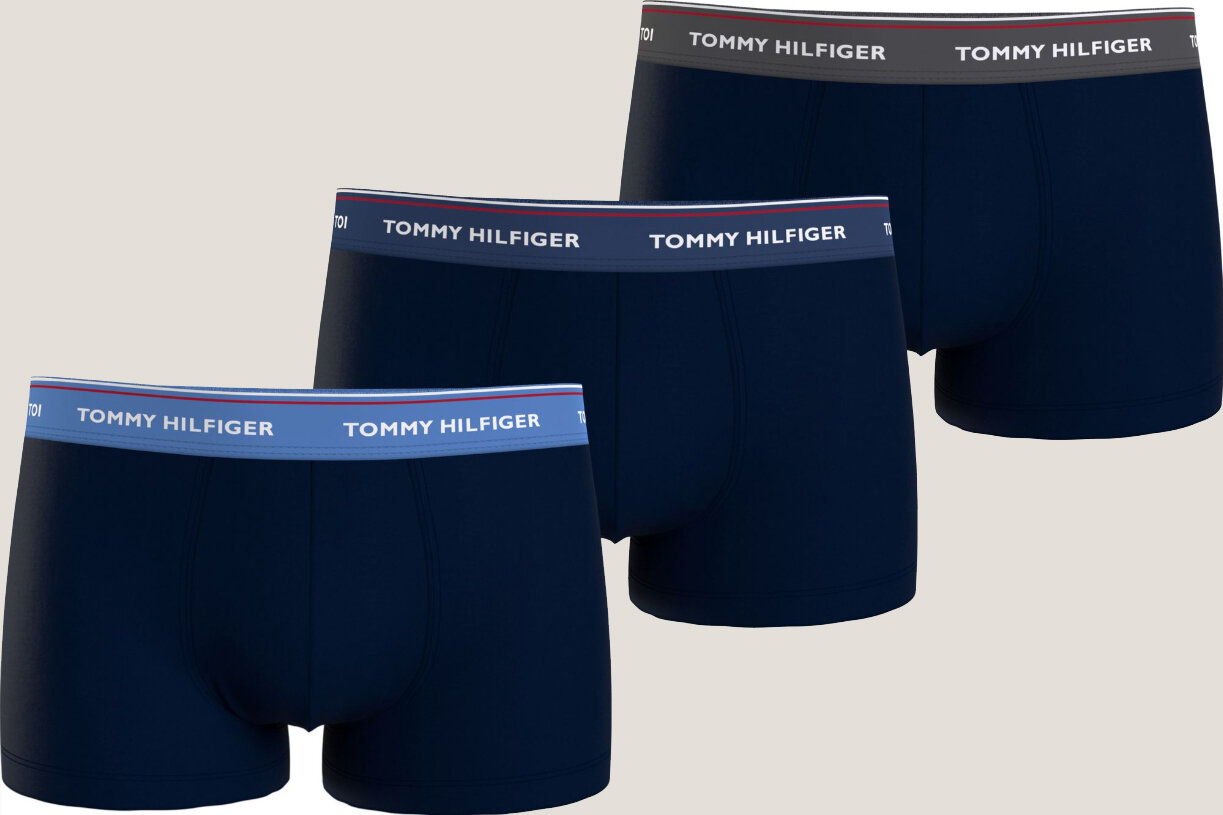 Трусы TOMMY HILFIGER