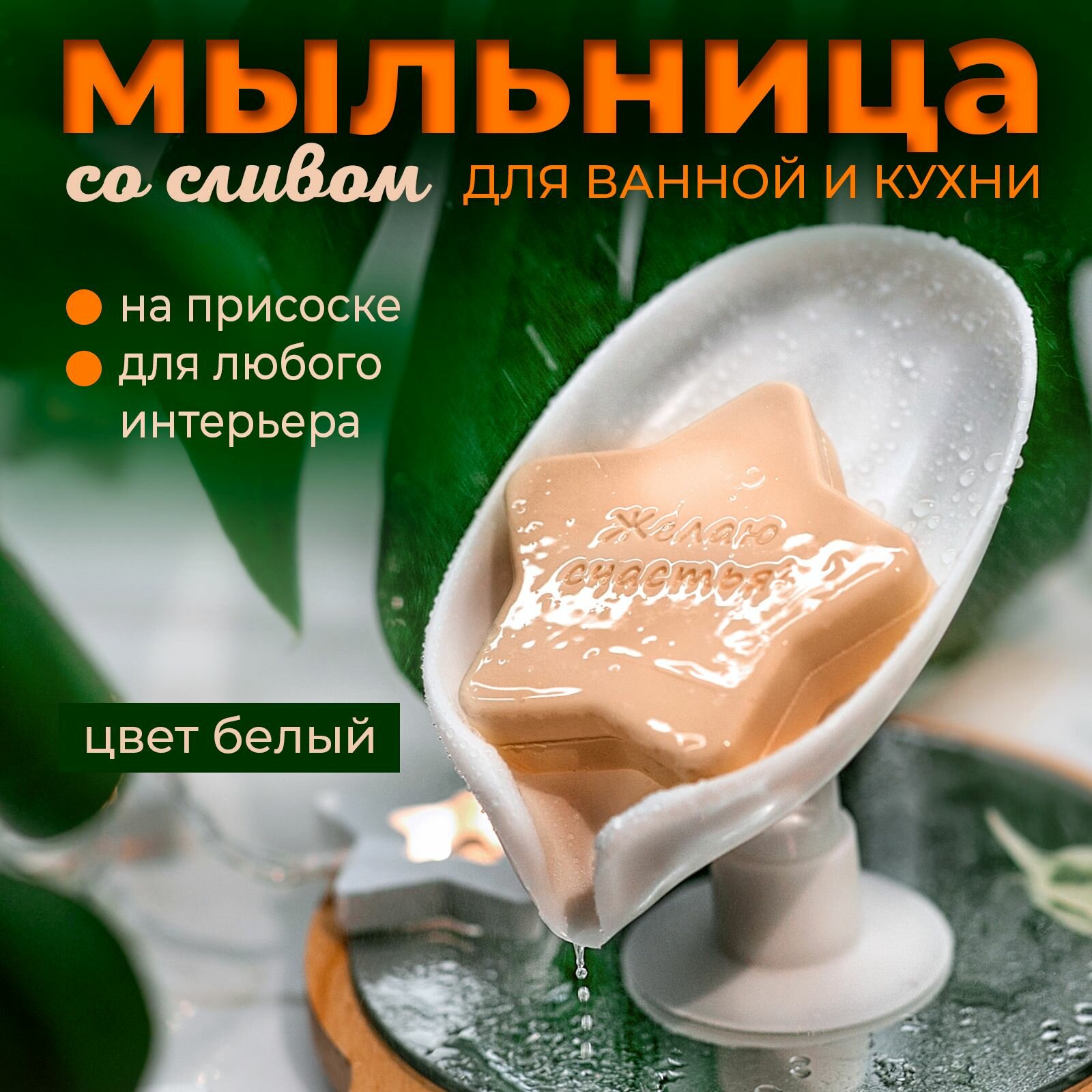 фото Мыльница