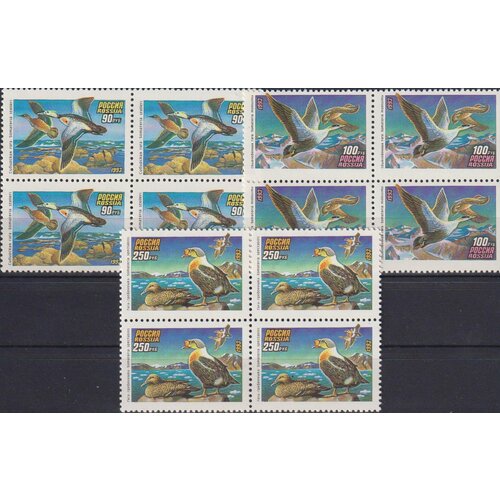 Почтовые марки Россия 1993г. Утки Утки MNH