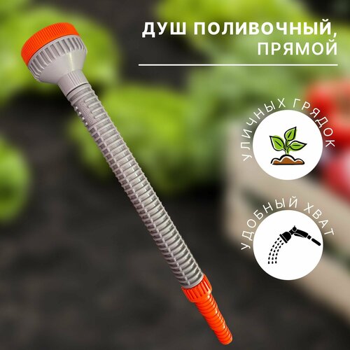 Душ поливочный, прямой 1/2