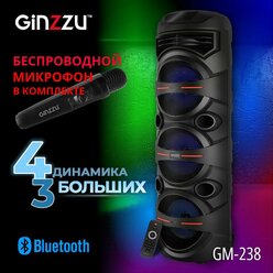 Ginzzu GM-238, Акустическая система Midi, BT/USB/TF/FM/W.MIC/ДУ